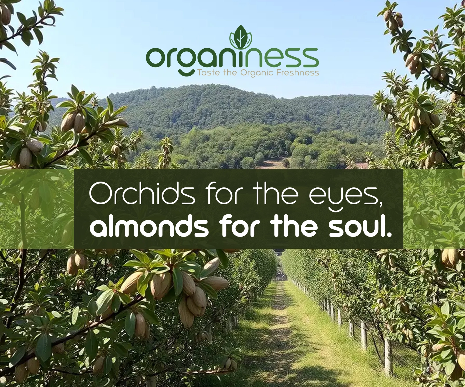 Organiness clean eating and wellness post